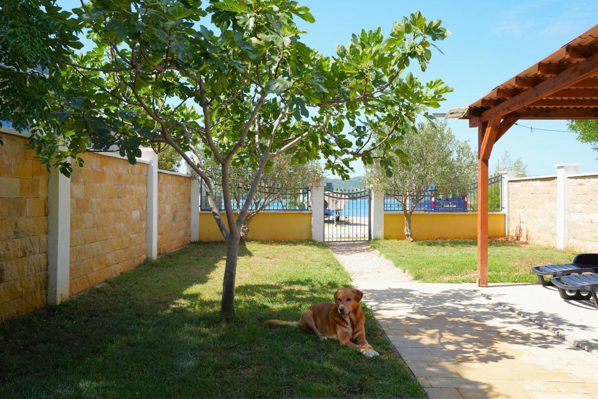 Holiday Home - Beach House 'Amarella' Turanj Kültér fotó